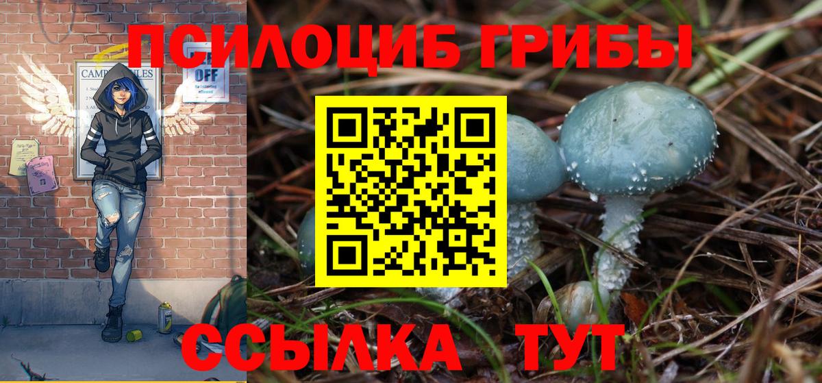 Псилоцибиновые грибы Psilocybine cubensis  Вход с VPN  Новоуральск  Псилоцибиновые грибы MAGIC MUSHROOMS 